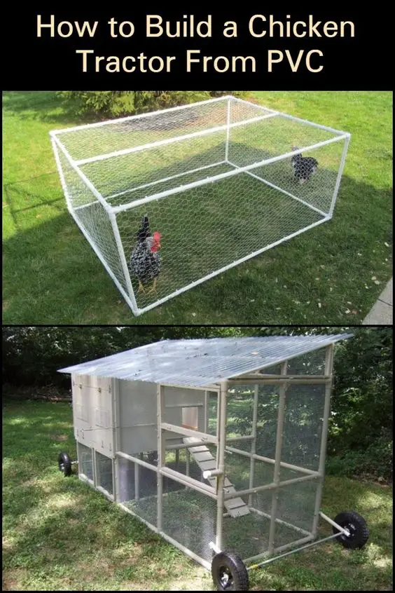 Pvc chicken cage at Home 