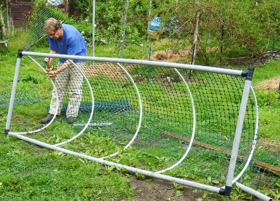 Pvc chicken cage at home