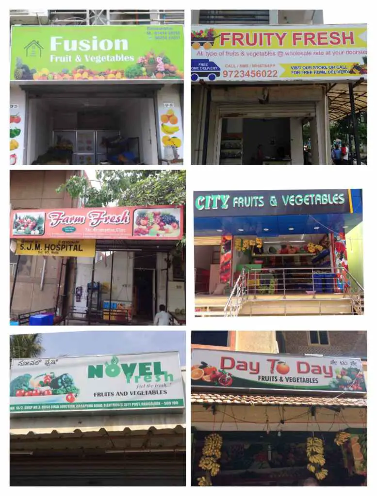 248+ Fruit Shop Name Ideas